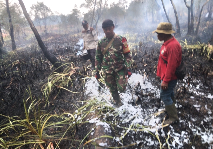 Babinsa Bersama Tim Gabungan Gerak Cepat Padamkan Kebakaran Lahan 1 Hektare di Pulokerto 1
