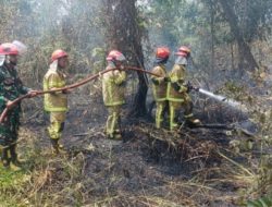 Babinsa Kodim Palembang yang Tergabung Dalam Satgas Karhutla Gabungan Padamkan Kebakaran Lahan 1,5 Hektare di Karya Jaya
