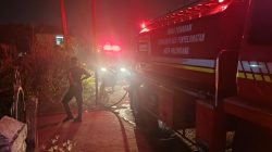 Kebakaran Lahan 1 Hektare di Kertapati, Babinsa dan Satgas Karhutla Kodim 0418 Bergerak Cepat 2