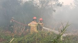 Satgas Karhutla Kodim 0418/Palembang Bersama Damkar Padamkan Kebakaran Lahan di Kertapati 3
