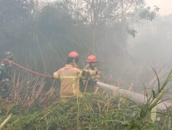 Satgas Karhutla Kodim 0418/Palembang Bersama Damkar Padamkan Kebakaran Lahan di Kertapati