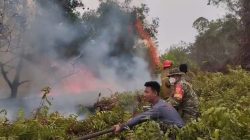 Kebakaran Lahan Semak Belukar di Sukarami Palembang, Api Hanguskan Sekitar 1 Hektare