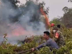 Kebakaran Lahan Semak Belukar di Sukarami Palembang, Api Hanguskan Sekitar 1 Hektare