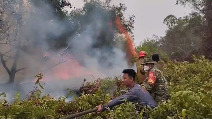 Kebakaran Lahan Semak Belukar di Sukarami Palembang, Api Hanguskan Sekitar 1 Hektare 1